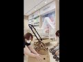 Cybex Mios KOI