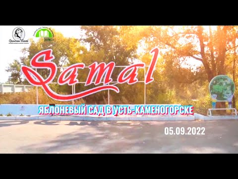 Щербаков Б.В. Яблоневый сад в Усть-Каменогорске. Парк Самал