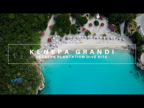 Curacao Dive Site Guide | Kenepa Grandi | Curaçao Travel Vlog