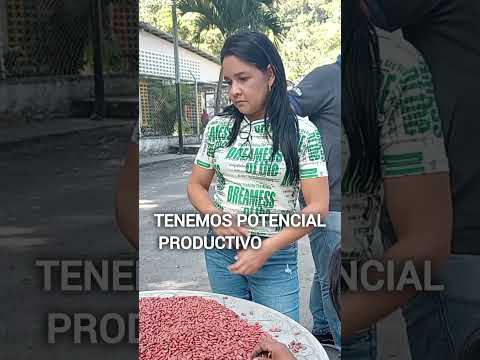 Comuna Pueblo Invicto de Chávez. municipio Acosta, estado Monagas. #venezuela