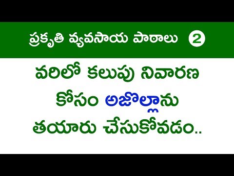 Zbnf lessons-role of azolla in weed control in paddy