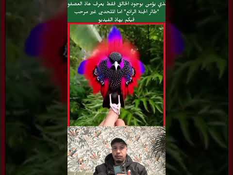 #خلق_الله #بر_الوالدين #رفق_بالحيوان #معجزات #دويتو #اكسبلور #راحة_نفسية