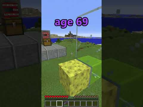 Can you name any 2022 Minecraft trends? 🤔 #Shorts