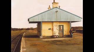 09 •  Eleanor McEvoy - The Rain Falls