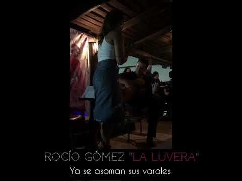 Rocío Gómez “La Luvera”-Ya se asoman sus varales - sala flamenco’s - El Rocio