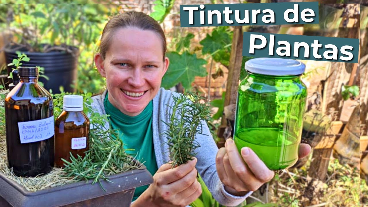 How to make Medicinal Plant Tincture🌱 Natural Health 💚