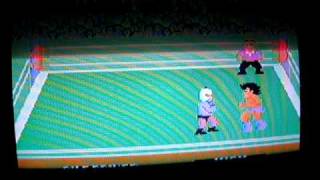 "Champion Pro Wrestling" SG1000 II