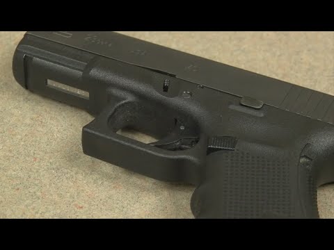Groups wants Gov. Lee to veto gun permit legislation
