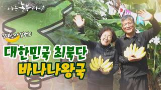 [나는 농부다 398회 2부] 바나나 정글의 타잔과 제인