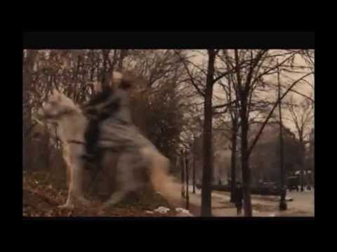 Winter's Tale - "ripples"