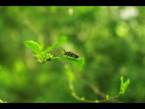 R&B type beat - "Seven" (Prod.Dahvinci)