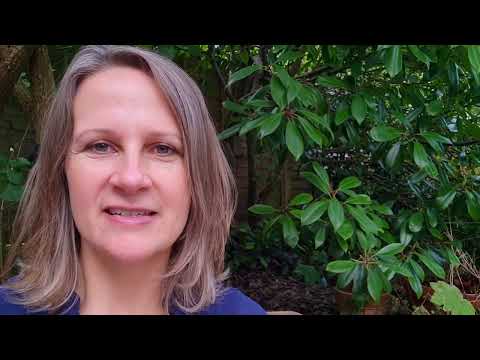 FIVE Challenges of SPONTANEOUS Kundalini Awakening