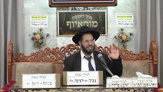 הרב יוחאי קמיל | פרשת השבוע ויצא | בית הכנסת מוסאיוף (בית הכנסת מוסאיוף) - התמונה מוצגת ישירות מתוך אתר האינטרנט יוטיוב. זכויות היוצרים בתמונה שייכות ליוצרה. קישור קרדיט למקור התוכן נמצא בתוך דף הסרטון