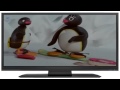 Pingu The Snowboarder
