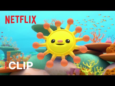 Octonauts And The Great Barrier Reef - Forming The Coral Reef - Misc Cartoons