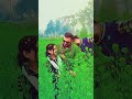 Sarso Ke Sagaiya Khesari Lal Whatsapp Status Shorts Shilpiraghwani Bhojpuri Picattack Status