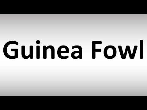 How to Pronounce Guinea Fowl