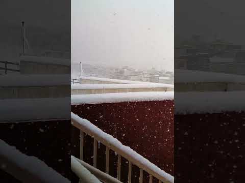 Snow Fall in Sulimaniya Kurdistan #kurdistan #slemani #snow #weather #iraq #subscribe #support