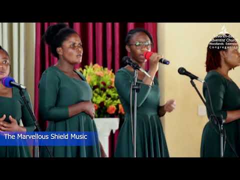 The Marvelous Shield Music