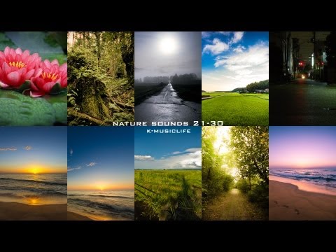 Nature Sound Collection 21-30 - Super Long Nature Sound 6 hour -