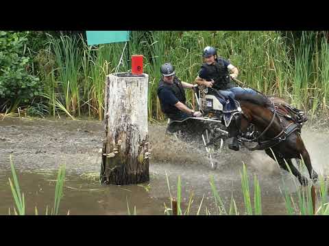 SCHILTZ Franz, LUX, CAI2# Exloo, H1, Marathon Ob 2, 15 08 2020