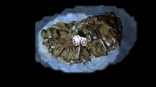 Leaving One Island - Let's Play Baldur's Gate Part 142