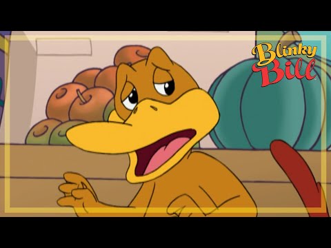 OPERATION FREE FLAP - Episode 12 - Season 3 - The Adventures of Blinky Bill