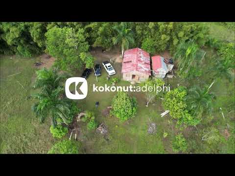 Kokonut Adelphi Drone Video