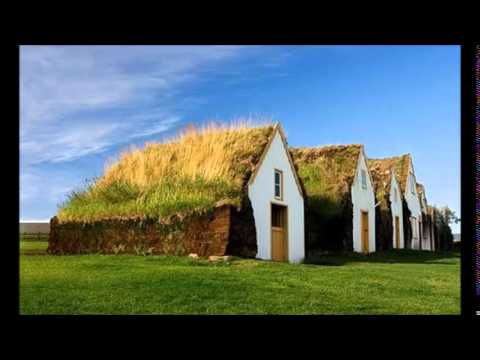 Арина и размер project - трава у дома