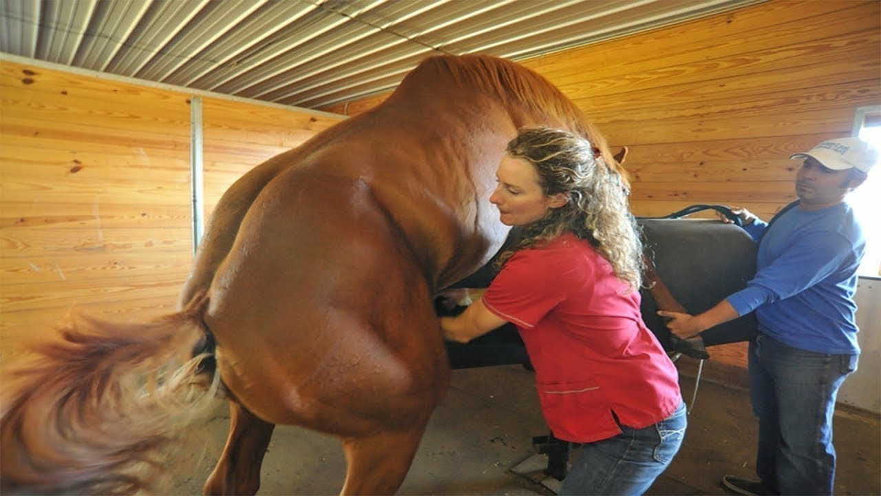 25 Procese de PRODUCERE de La Care ?i se va Face Pielea De G?in?! TOP 25