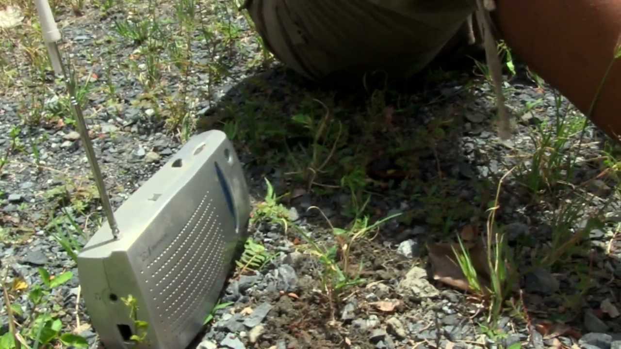 Trailer oficial de Reggaeton Zombie