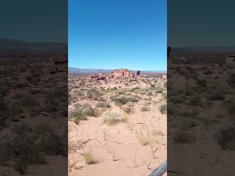 Parque Nacional Talampaya (La Rioja) II:15/03/2026!