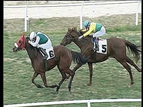 Galoppo 15/02/2019 - 1ª corsa