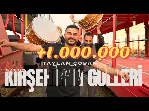 Taylan Çoban - Biter Kırşehir'in Gülleri