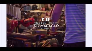 Snarky Puppy - Tio Macaco - Banda Musical