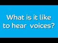 What's it like to hear voices?