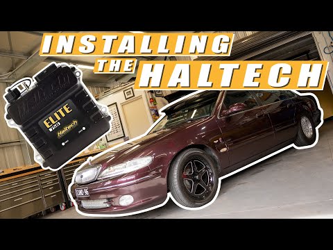 Turbo Fairlane Build - Installing a Haltech 750