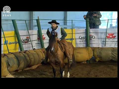 Classificatória Região Norte – 2° lugar machos – Umbú do Infinito (Prova: Mangueira II)