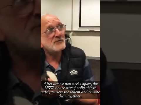 When a homeless man is reunited with his lost pet Rat