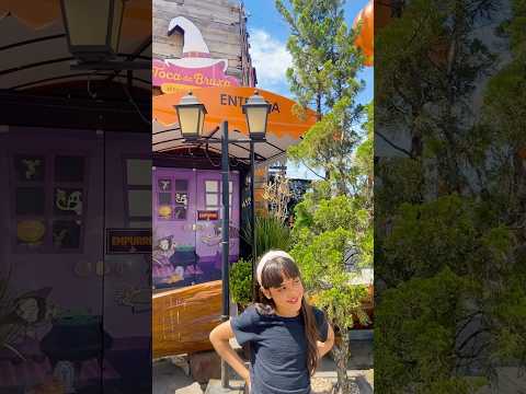 CANELA - Rio Grande do Sul #serragaucha #canela #travel #bruxa #turismo