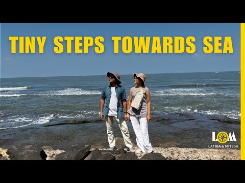 कासव उत्सव |Turtle Festival | Velas वेळास बीच | A Documentary on Turtle Conservation | Latika&Mitesh