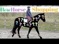 New Horse Shopping! - The Search Begins | This Esme New Horse Shopping! - The Search Begins | This Esme