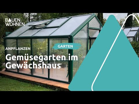 , title : 'Gewächshaus kaufen: Standort und Anbau von Gemüse I BAUEN & WOHNEN'