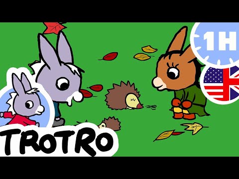 TROTRO | COMPILATION | 🦔 Trotro plays with cute animals! 🐠
