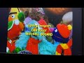 Closing To Sesame Street Elmo Saves Christmas 2008 DVD