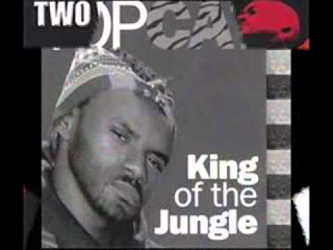 Top Cat   Late Night Kung Fu