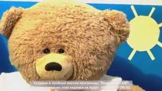 Ты и Я, мы с тобой друзья (Мишкины танцы)