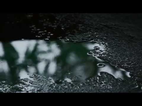 Jayakrishnan P T A Portrait Of Monsoon - The Season That Refresh Us In Every Aspects Of Life