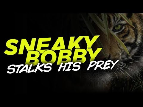 SNEAKY BOBBY STALKS HIS PREY - CoD BLACKOUT SOLO