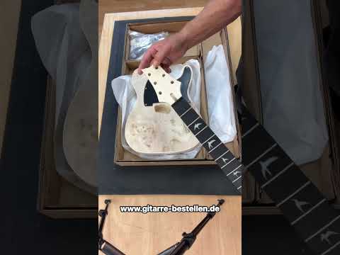 Guitar Kit MLT Sky Bird Esche Wurzel